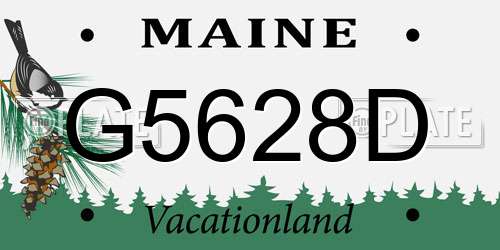 G5628D Maine License Plate
