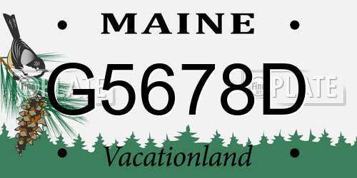 G5678D Maine License Plate