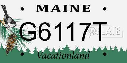 G6117T Maine License Plate