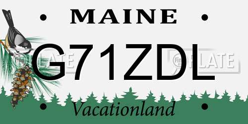 G71ZDL Maine License Plate