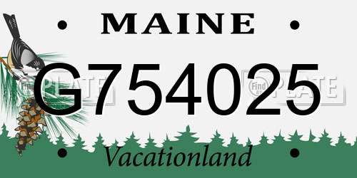 G754025 Maine License Plate