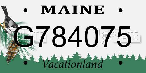 G784075 Maine License Plate