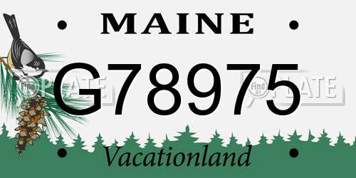 G78975 Maine License Plate