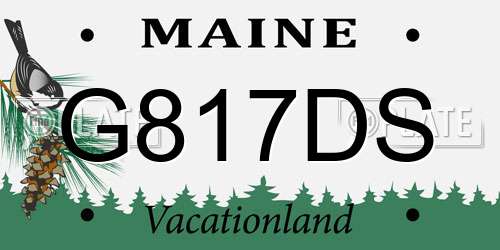 G817DS Maine License Plate