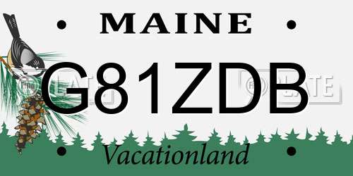 G81ZDB Maine License Plate