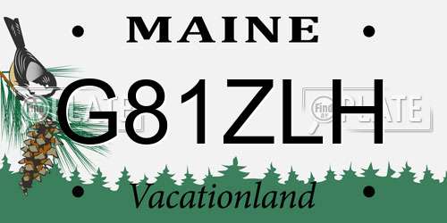 G81ZLH Maine License Plate