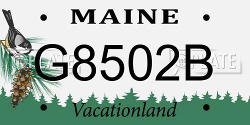 G8502B Maine License Plate