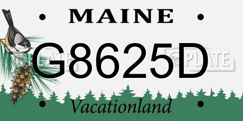 G8625D Maine License Plate