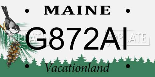 G872AI Maine License Plate