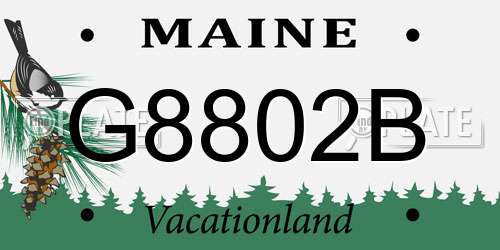 G8802B Maine License Plate