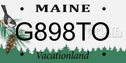 G898TO Maine License Plate