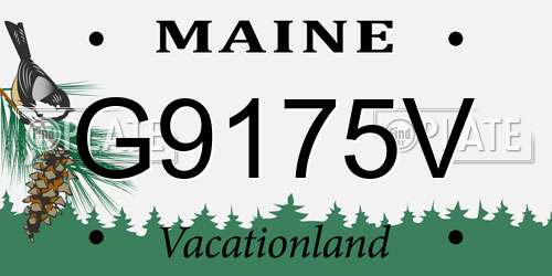 G9175V Maine License Plate