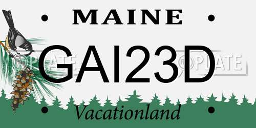 GAI23D Maine License Plate