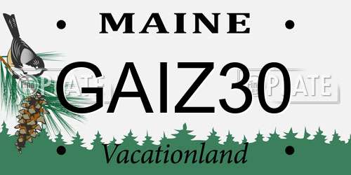GAIZ30 Maine License Plate