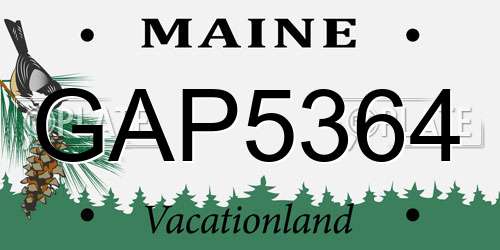GAP5364 Maine License Plate