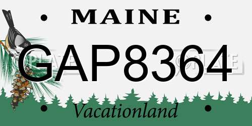 GAP8364 Maine License Plate