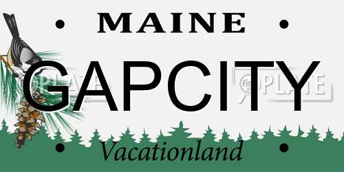 GAPCITY Maine License Plate
