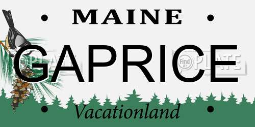 GAPRICE Maine License Plate