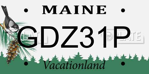 GDZ31P Maine License Plate