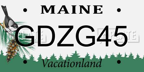 GDZG45 Maine License Plate