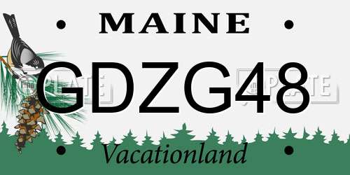 GDZG48 Maine License Plate