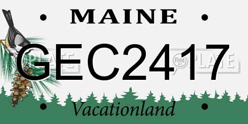GEC2417 Maine License Plate