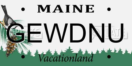 GEWDNU Maine License Plate
