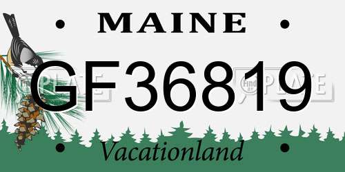 GF36819 Maine License Plate