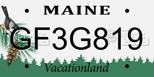 GF3G819 Maine License Plate