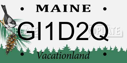 GI1D2Q Maine License Plate