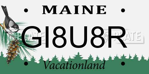 GI8U8R Maine License Plate