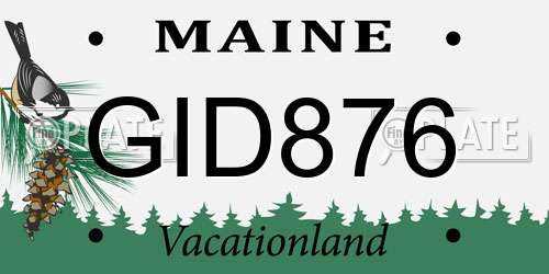 GID876 Maine License Plate