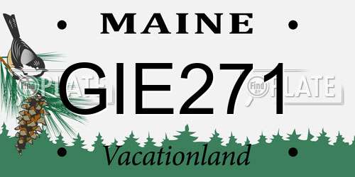 GIE271 Maine License Plate