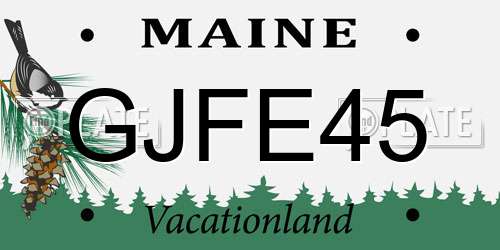 GJFE45 Maine License Plate