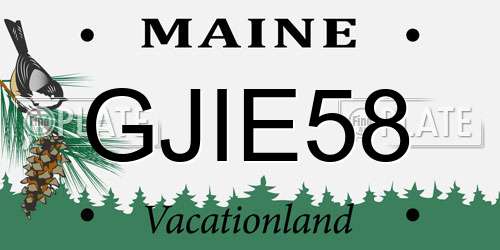 GJIE58 Maine License Plate