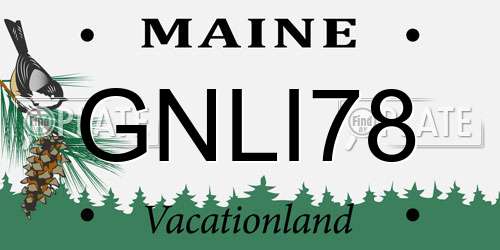GNLI78 Maine License Plate