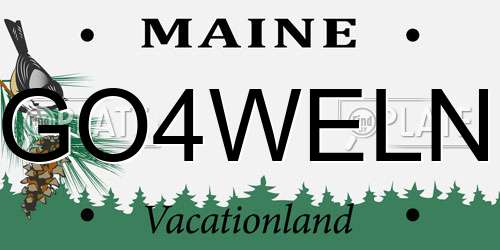 GO4WELN Maine License Plate