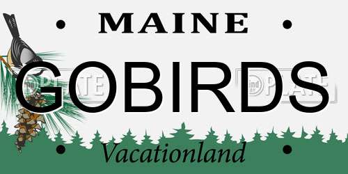 GOBIRDS Maine License Plate