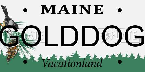 GOLDDOG Maine License Plate