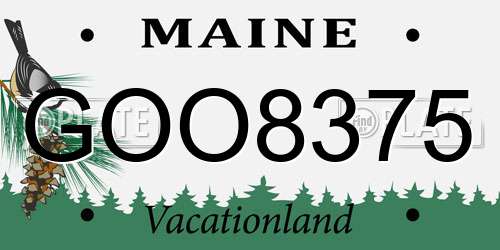 GOO8375 Maine License Plate