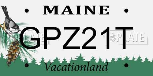 GPZ21T Maine License Plate