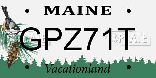 GPZ71T Maine License Plate