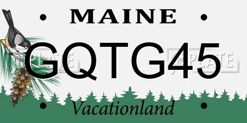 GQTG45 Maine License Plate