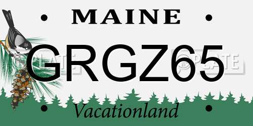 GRGZ65 Maine License Plate
