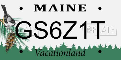 GS6Z1T Maine License Plate