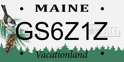 GS6Z1Z Maine License Plate