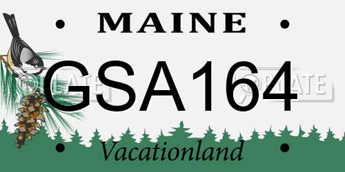 GSA164 Maine License Plate