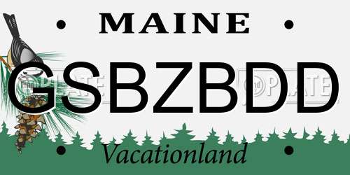 GSBZBDD Maine License Plate