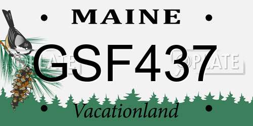 GSF437 Maine License Plate