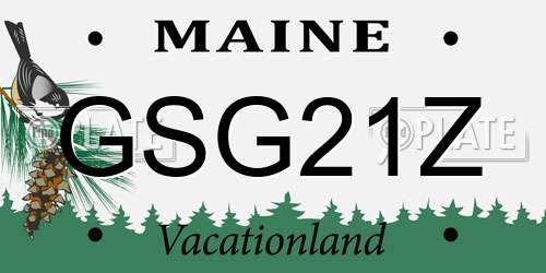 GSG21Z Maine License Plate